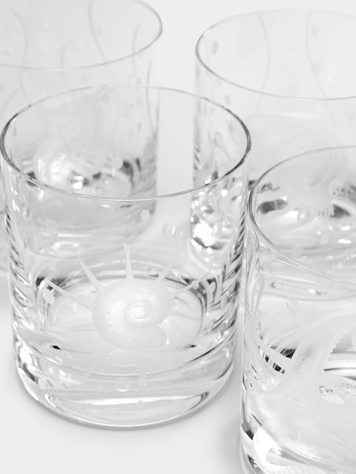Artel - Sea Life Hand-Engraved Crystal Double Old Fashioned Glasses (Set of 6) -  - ABASK