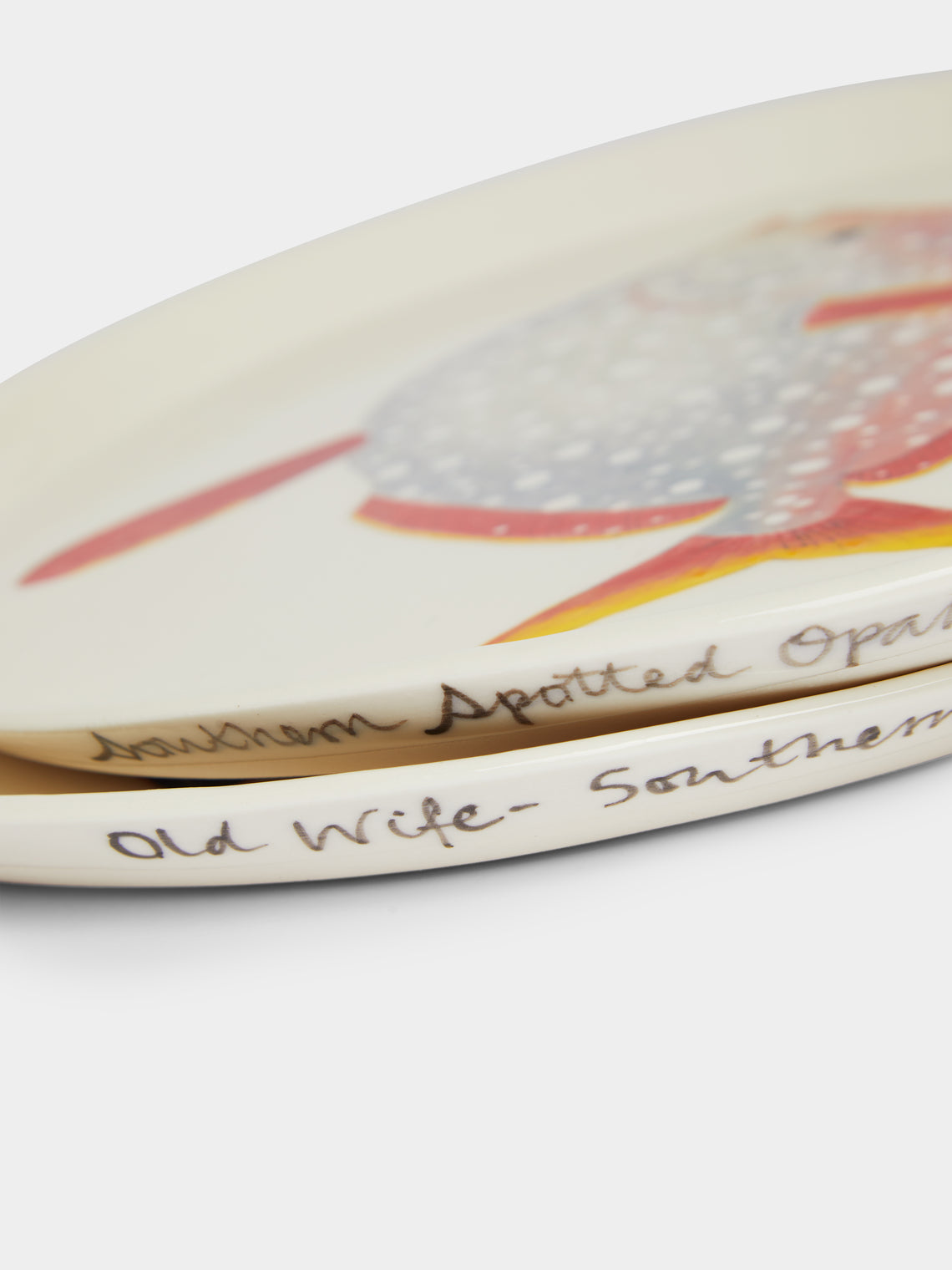 Casa Adams - Fish Hand-Painted Porcelain Dinner Plates (Set of 2) -  - ABASK