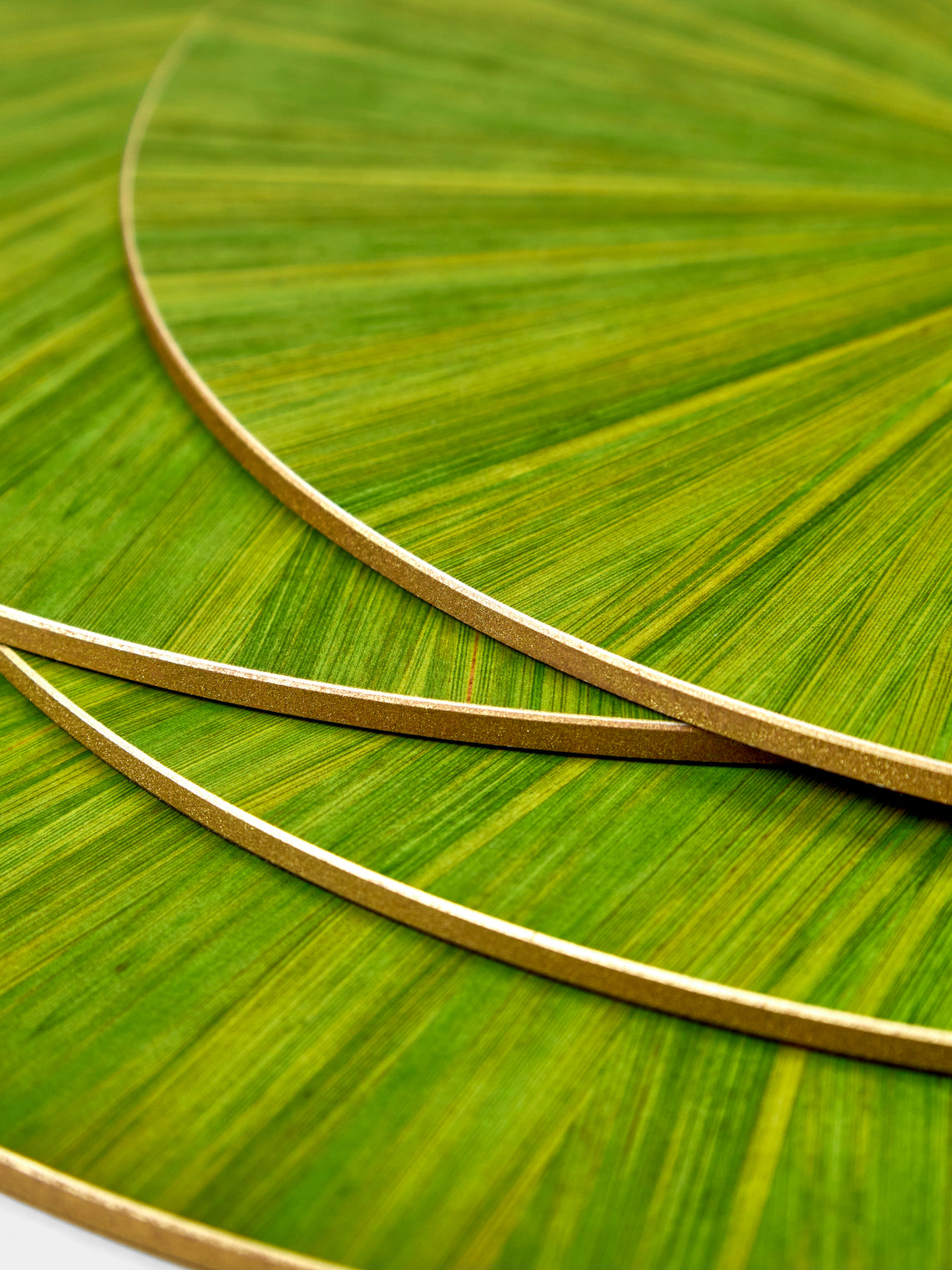 HestiaLiving - Soleil Wood Placemats (Set of 4) - Green - ABASK