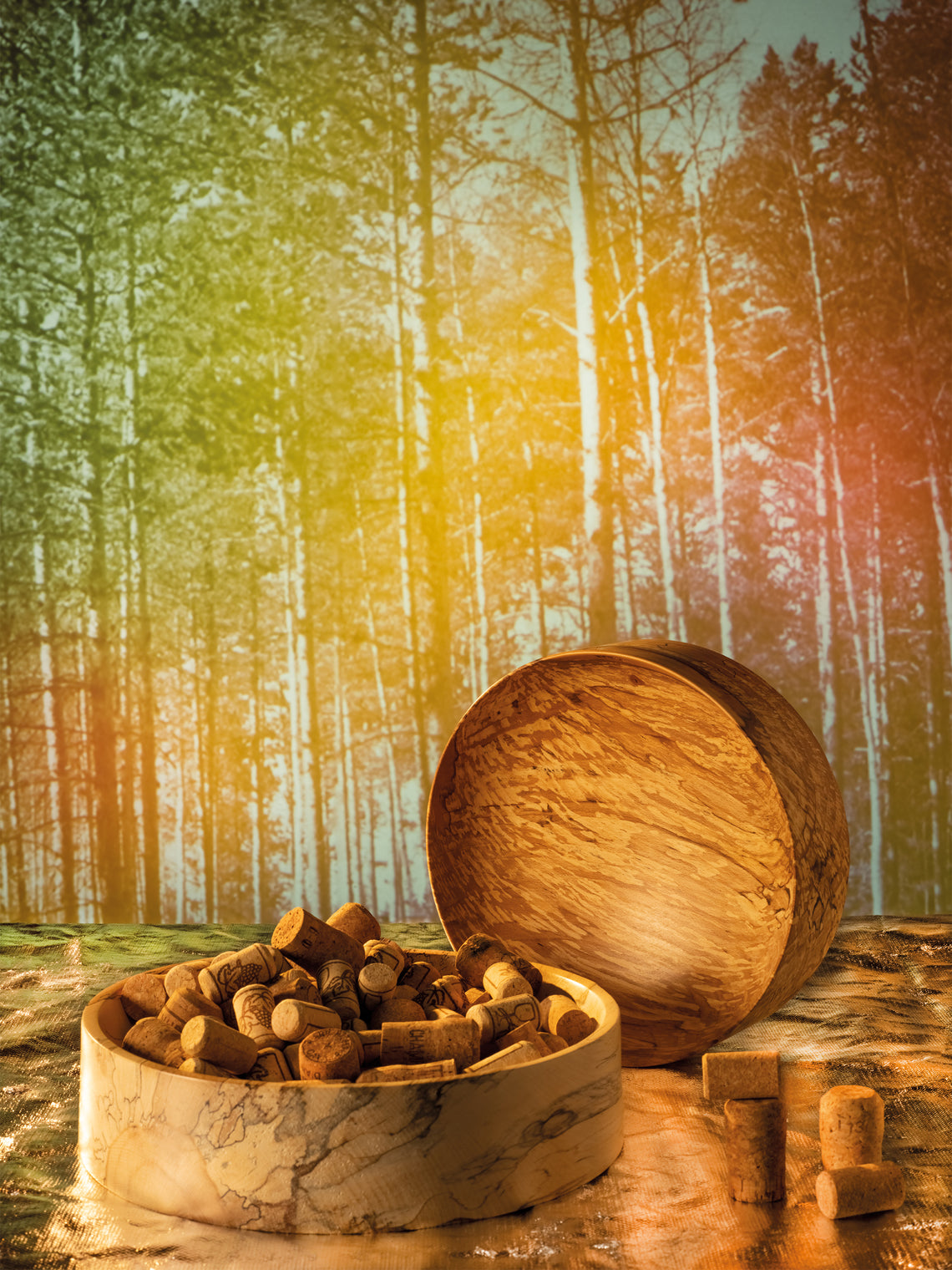 Bird & Branch - Fairlight Hand-Turned Patterned Beech Extra Large Bowl -  - ABASK