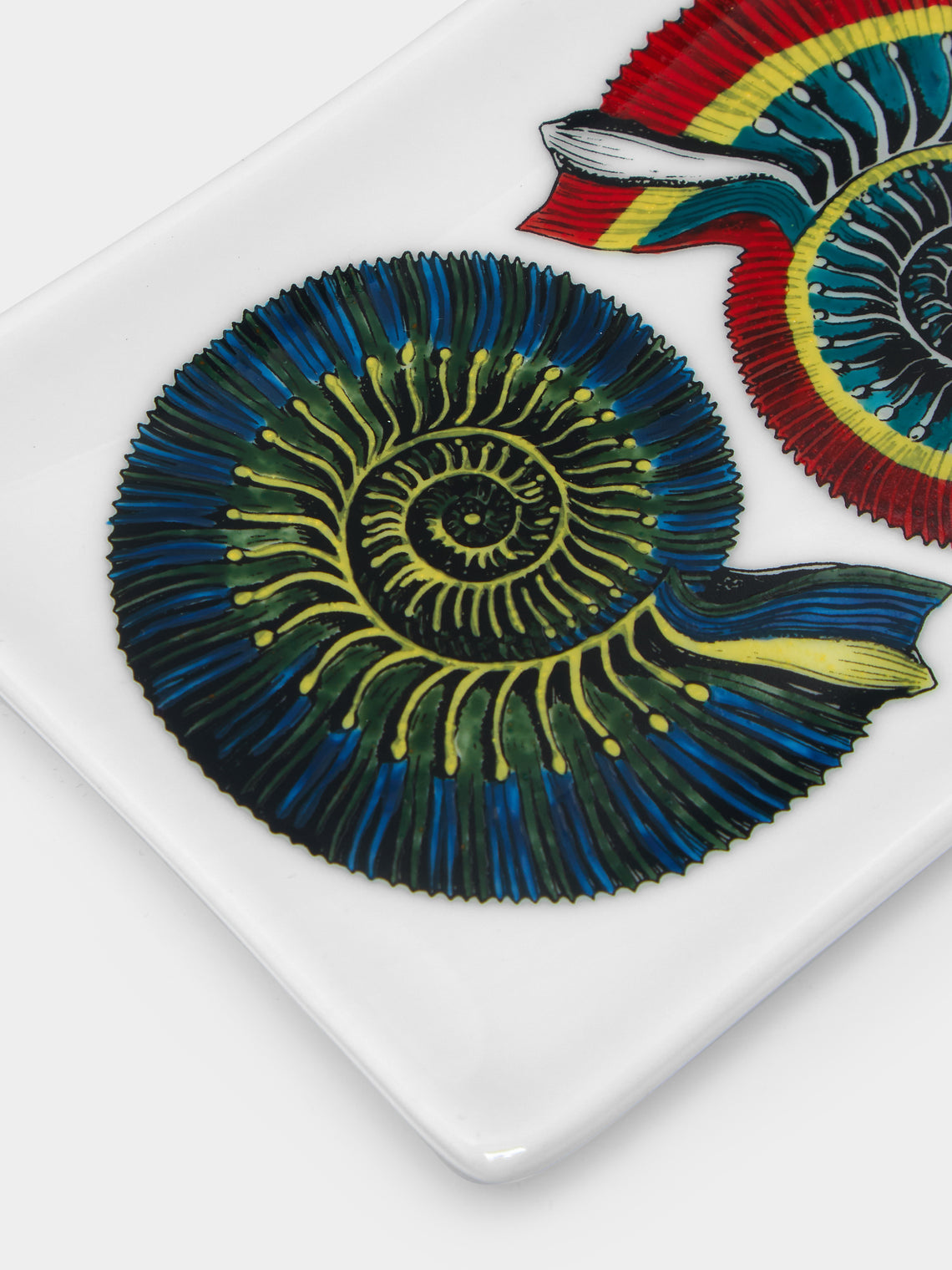 Fornasetti - Conchiglia Fossile Hand-Painted Porcelain Ashtray -  - ABASK