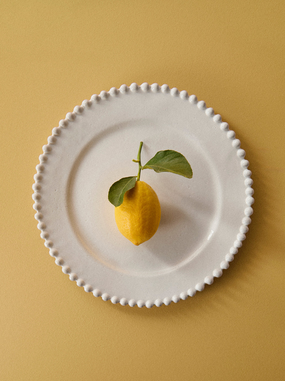 Astier de Villatte - Hand-Glazed Ceramic Large Dinner Plate - White - ABASK