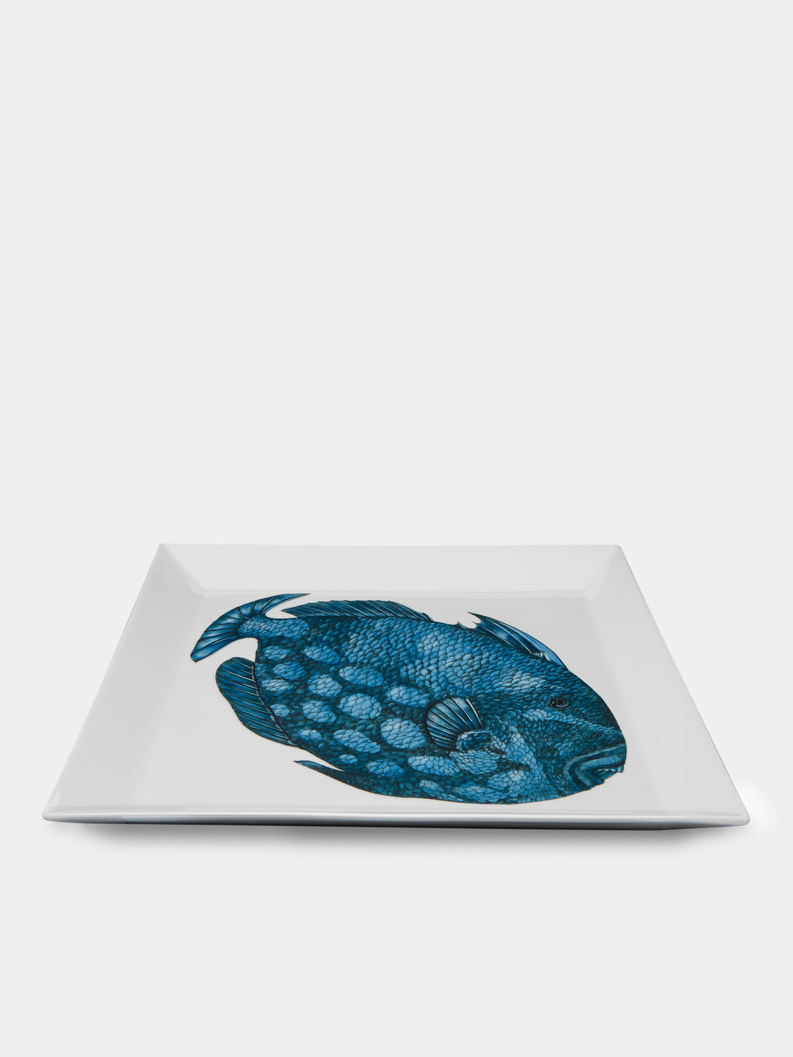 Fornasetti - Pesce Balestra Porcelain Tray -  - ABASK
