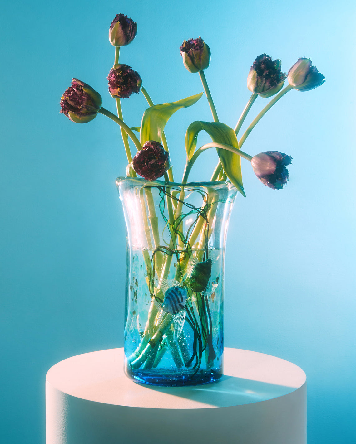 Antique and Vintage - 1950s Mazzuccato Murano Glass Aquarium Vase -  - ABASK