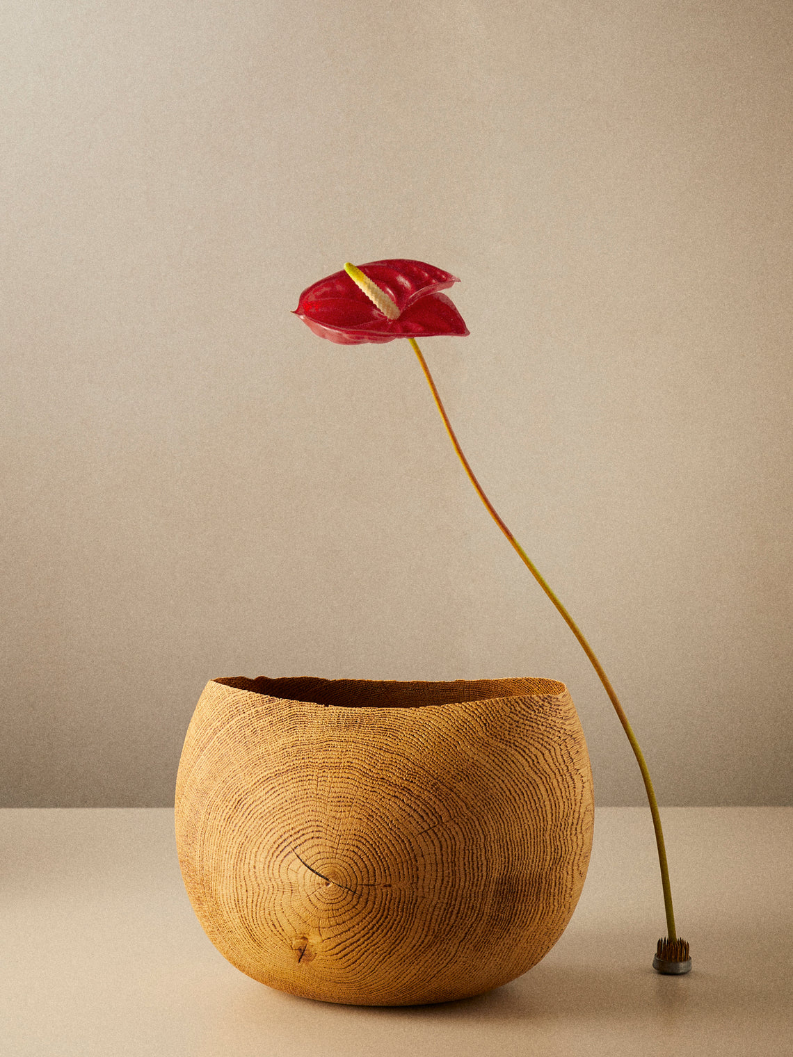 Friedemann Buehler - Brown Oak Bowl - Brown - ABASK