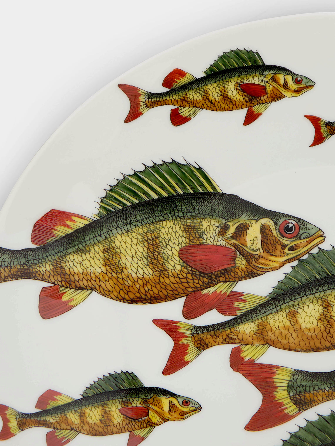 Fornasetti - Passata di Pesci Hand-Painted Porcelain Plates (Set of 6) -  - ABASK