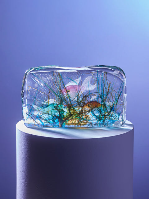 Antique and Vintage - 1950s Alfredo Barbini Murano Aquarium Paperweight -  - ABASK
