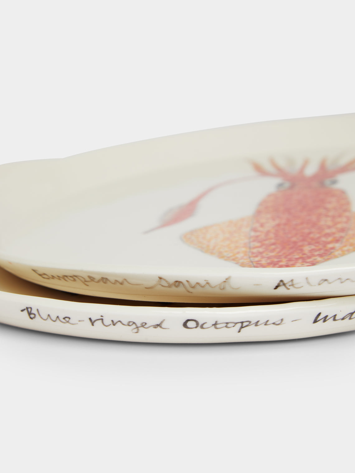 Casa Adams - Mollusc Hand-Painted Porcelain Dinner Plates (Set of 2) -  - ABASK