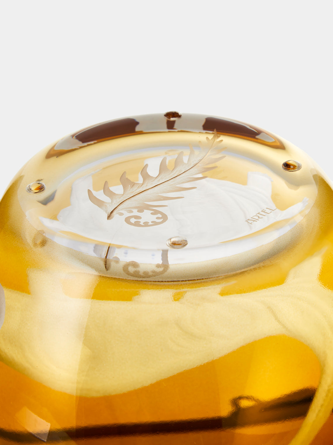 Artel - Dinosaur Hand-Engraved Crystal Jug - Orange - ABASK