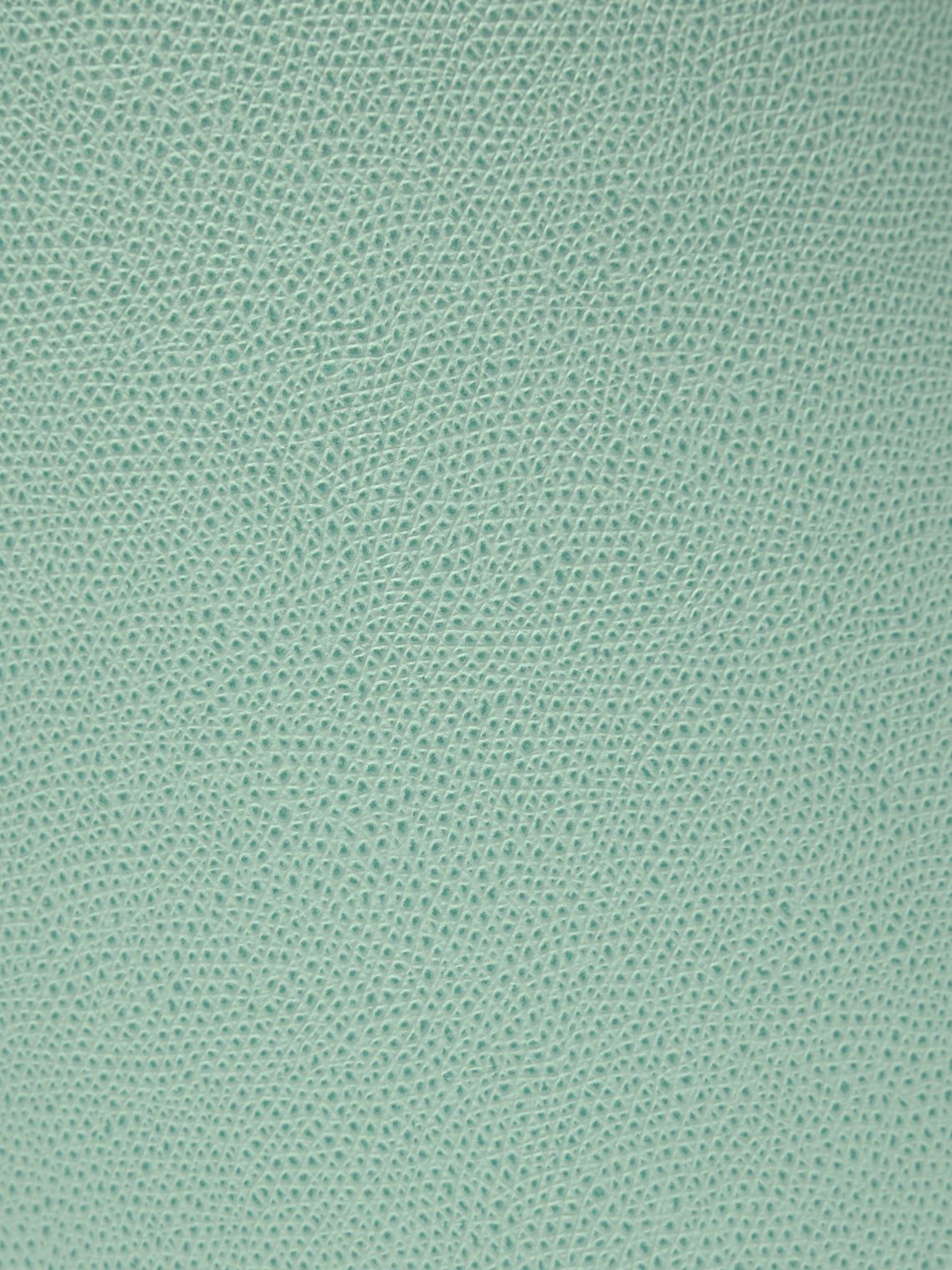 Giobagnara - Leather Swing Round Bin - Light green - ABASK