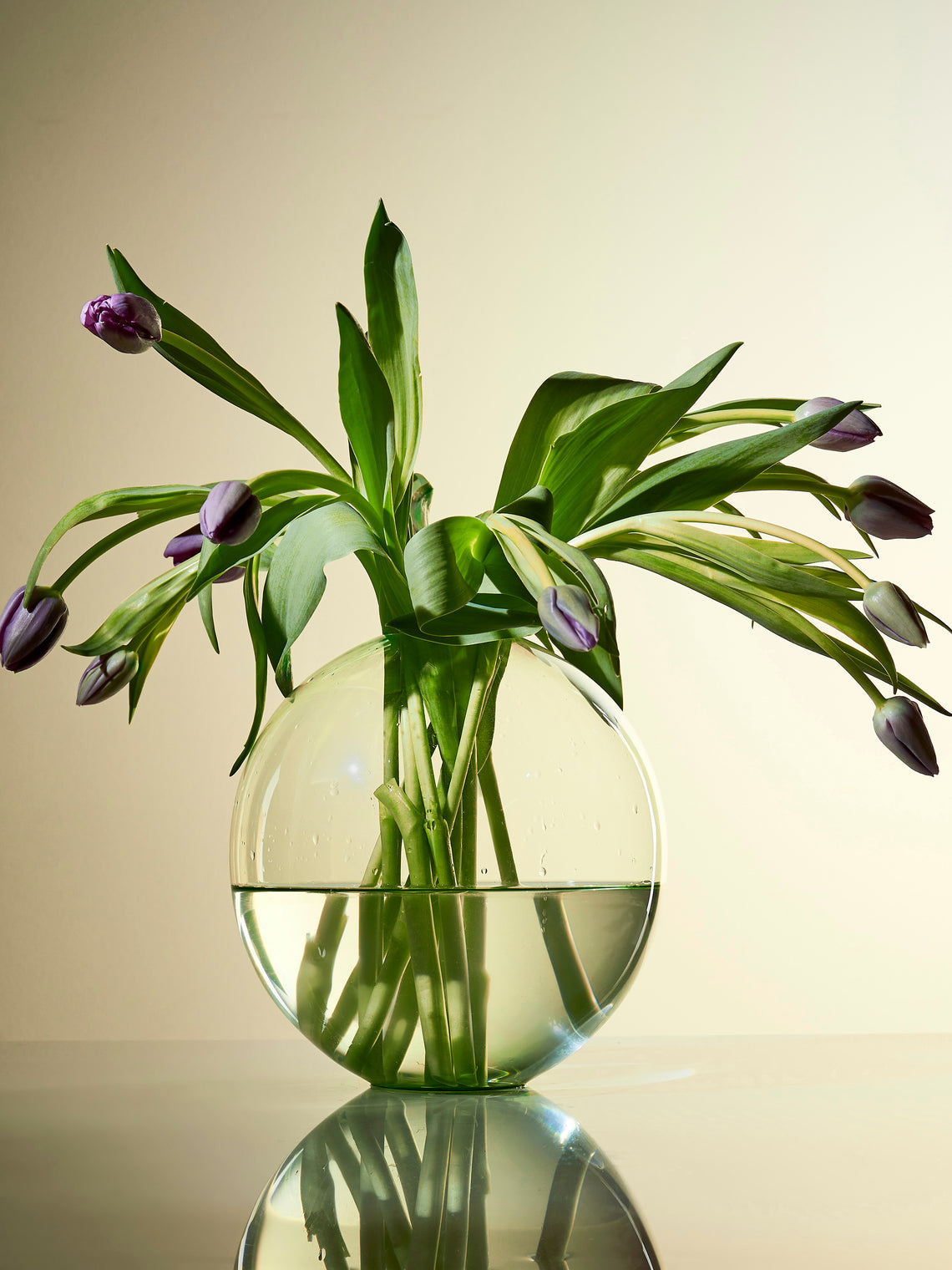 Lobmeyr - BV60 Hand-Blown Crystal Vase (8in/20cm) - Green - ABASK