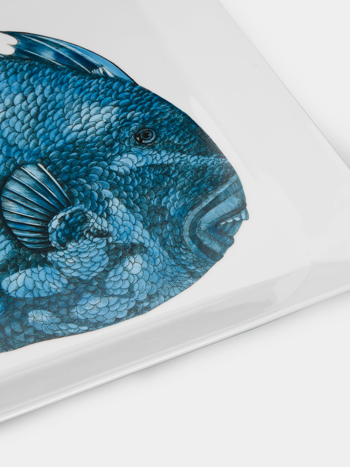 Fornasetti - Pesce Balestra Porcelain Tray -  - ABASK