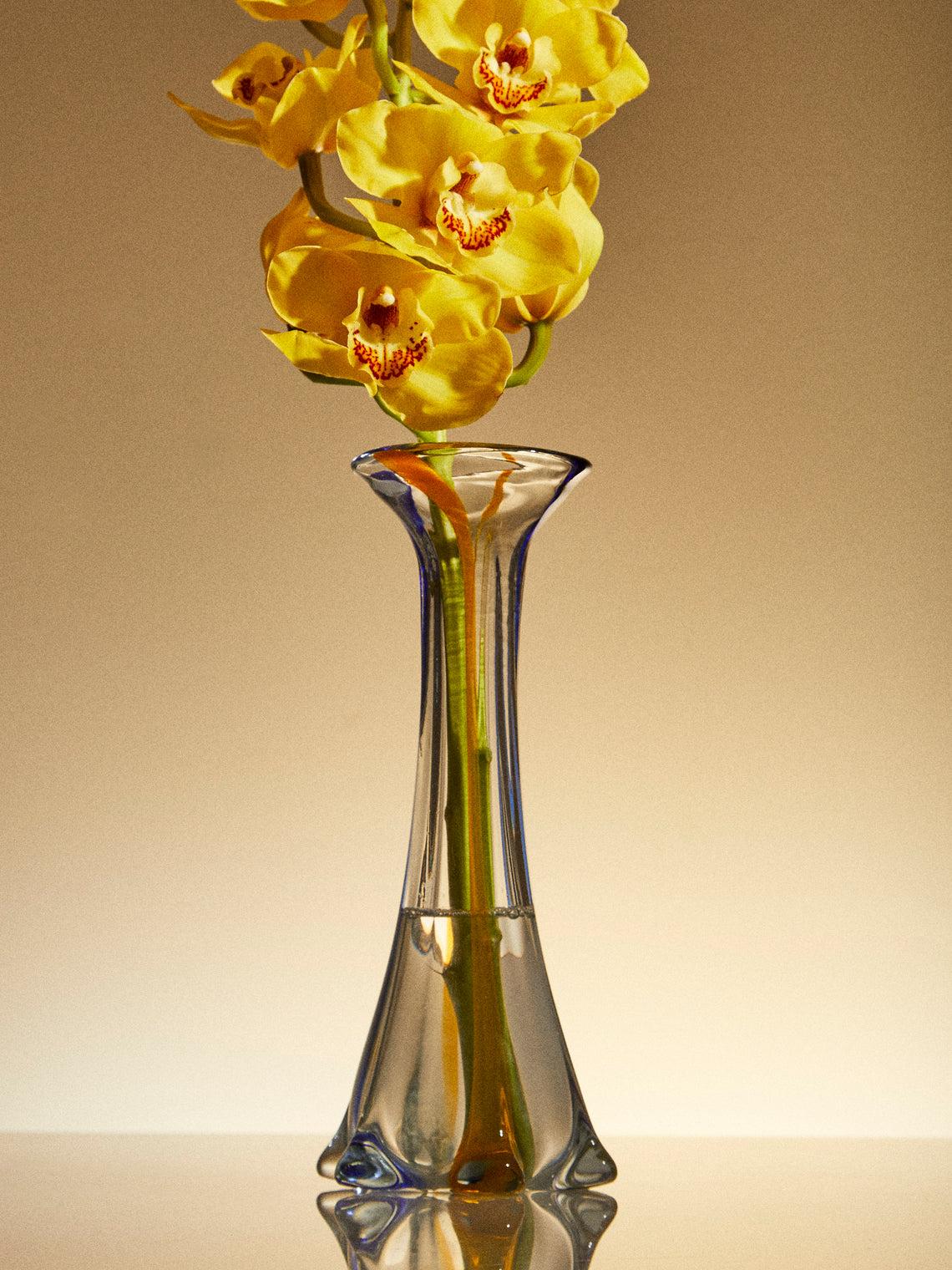 Antique and Vintage - Mid-Century Glass Vase - Clear - ABASK