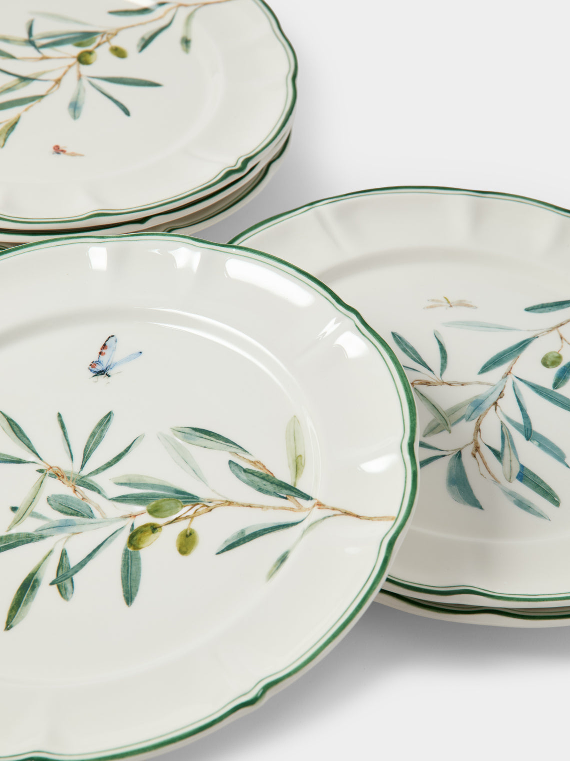Laboratorio Paravicini - | Set of 6 | Ulivi Ceramic Dinner Plates (10in/26cm) - Green - ABASK