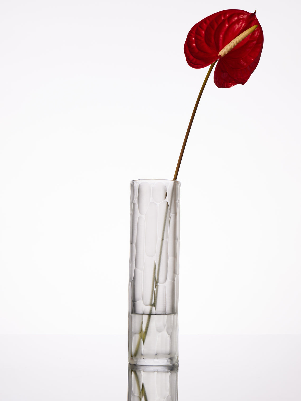Micheluzzi Glass - Canna Cristallo Bamboo Hand-Blown Murano Glass Vase (12in/30cm) - Clear - ABASK