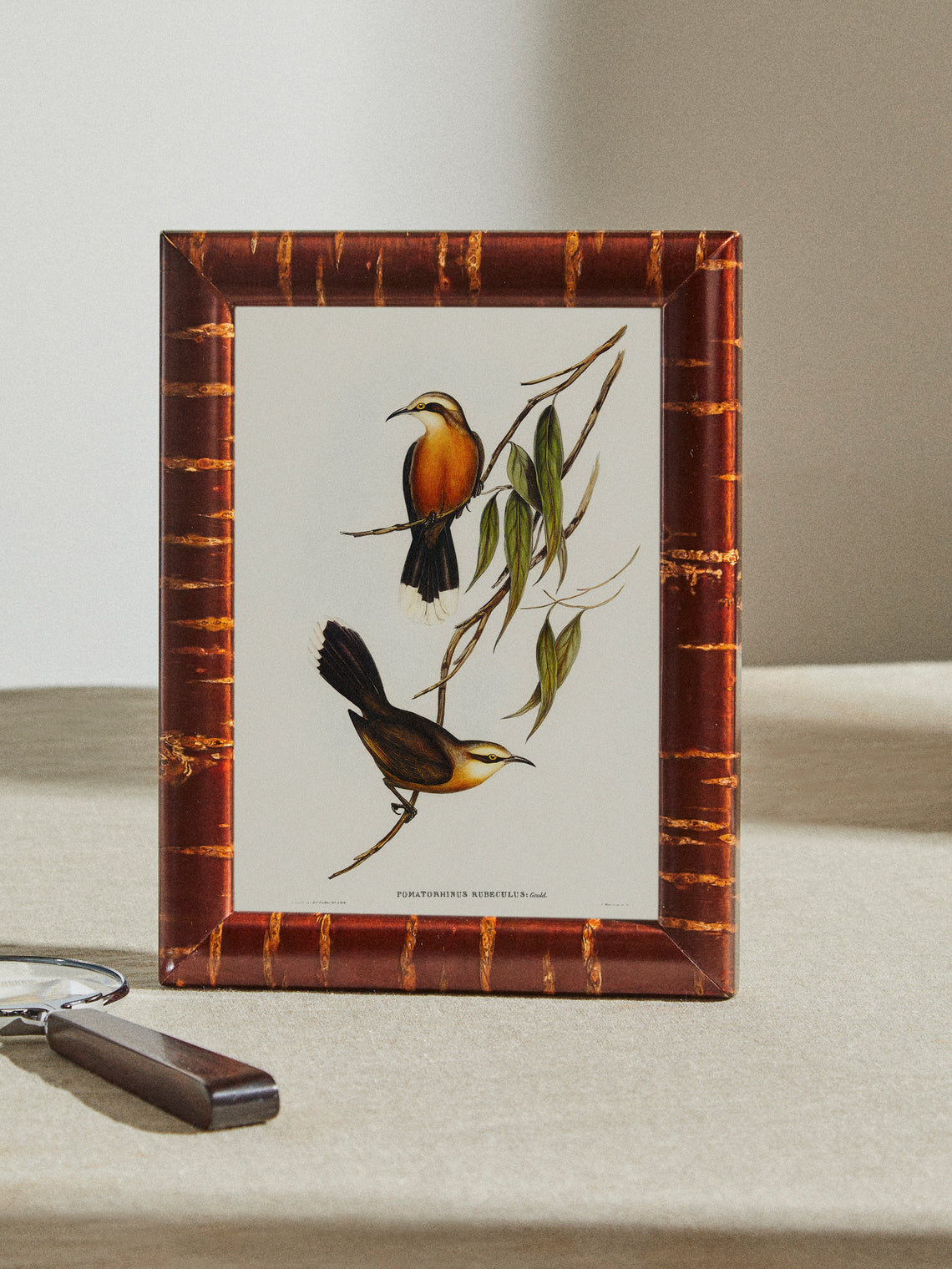 Denshiro - Cherry Bark Cabinet Photo Frame - Brown - ABASK