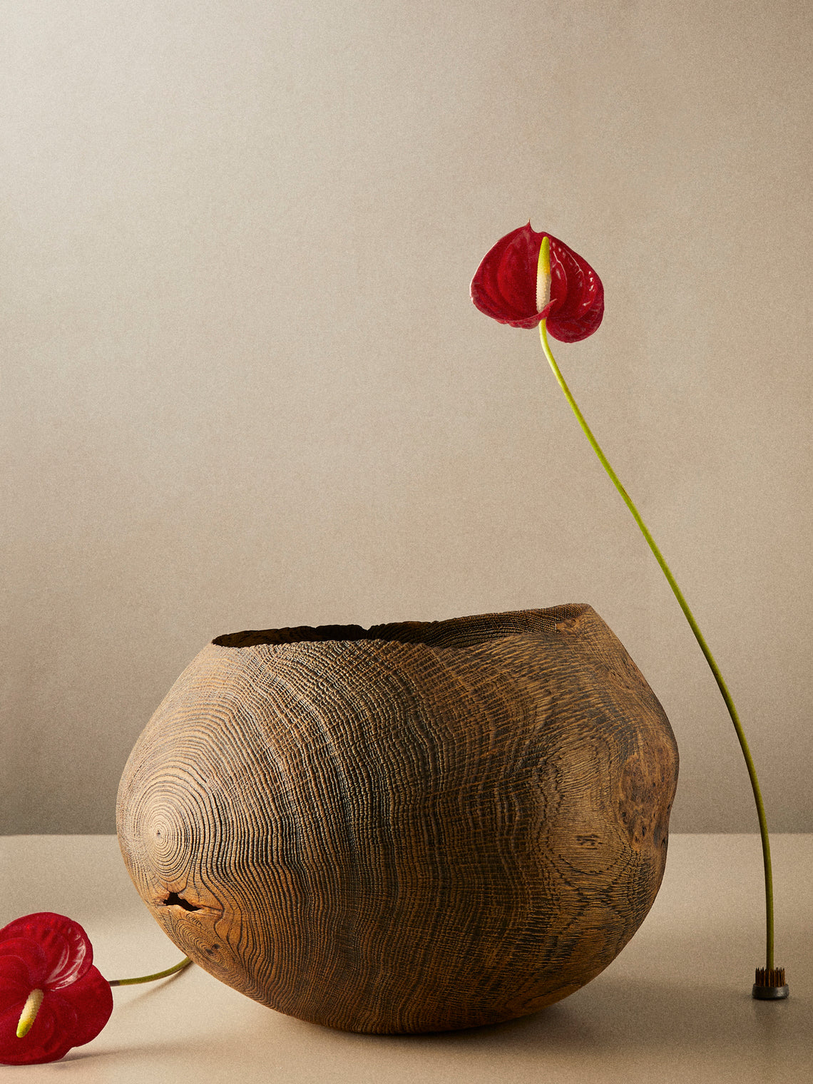 Friedemann Buehler - Dark Brown Oak Bowl - Brown - ABASK