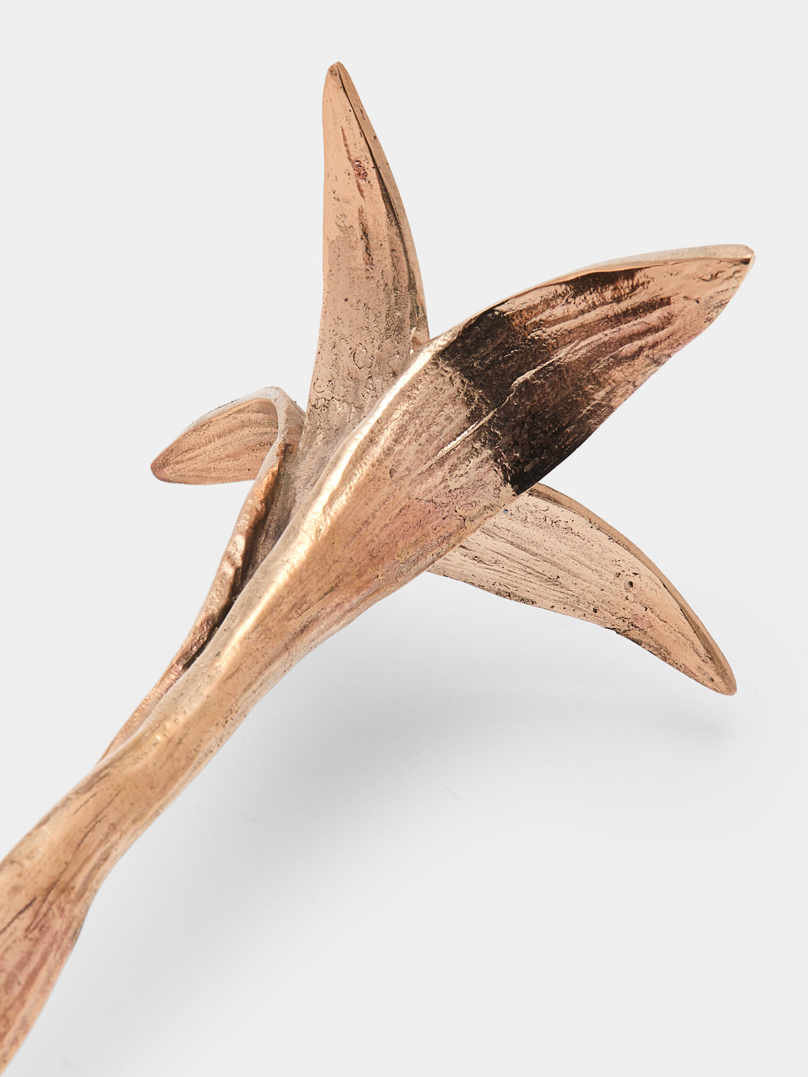 Osanna Visconti - Iris Hand-Cast Bronze Large Candle Holder - Bronze - ABASK