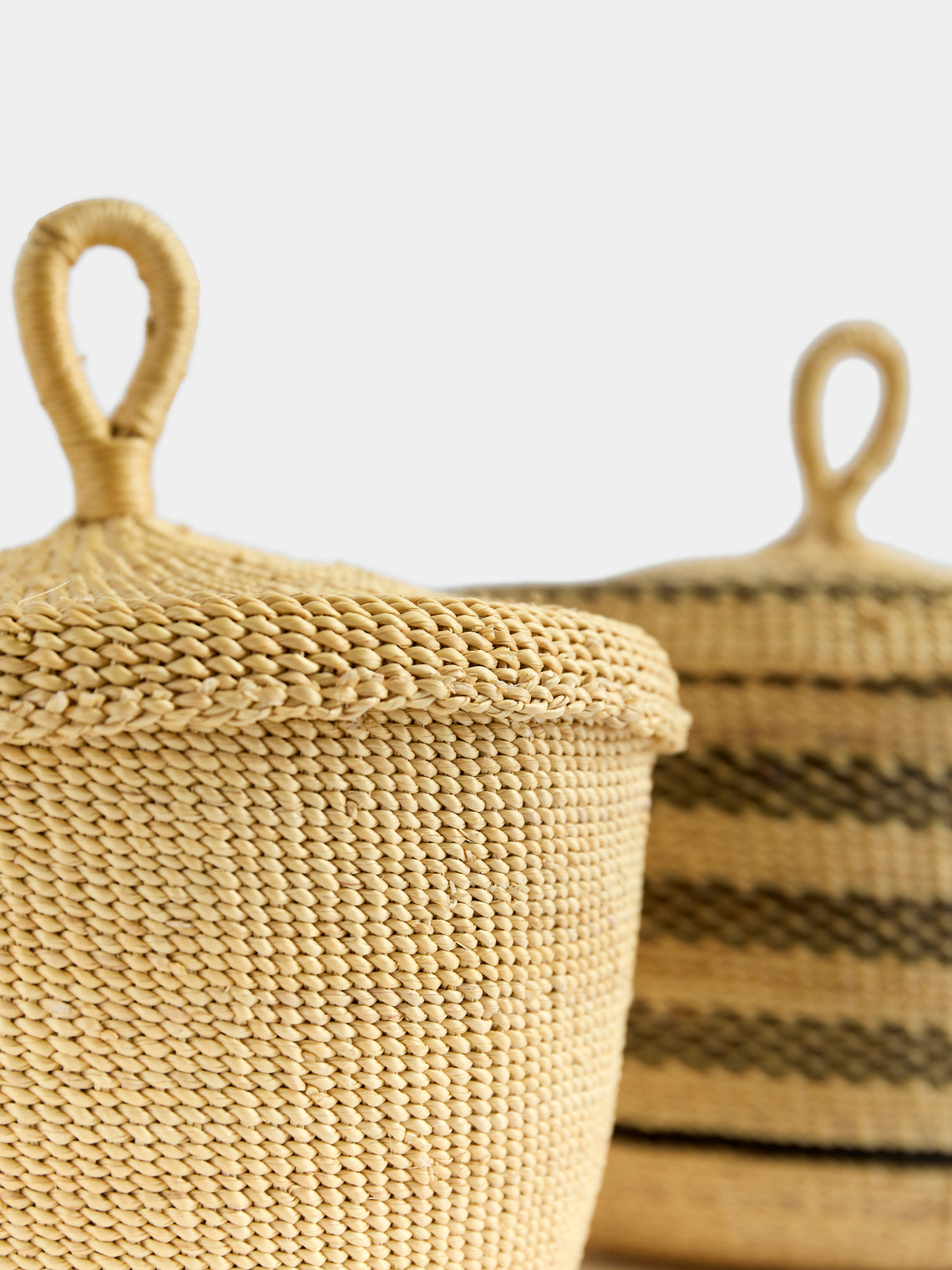 Baba Tree - Banasco Handwoven Elephant Grass Lidded Storage Baskets (Set of 2) - Natural - ABASK