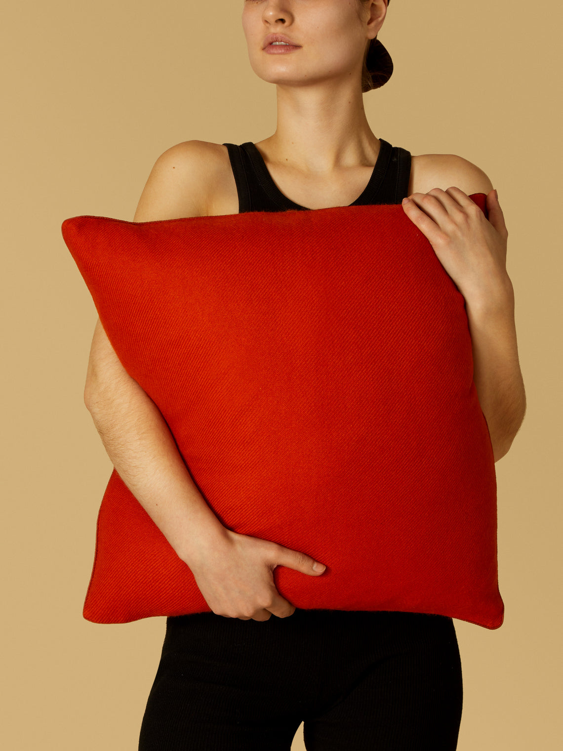 Denis Colomb - Himalayan Cashmere Cushion -  - ABASK