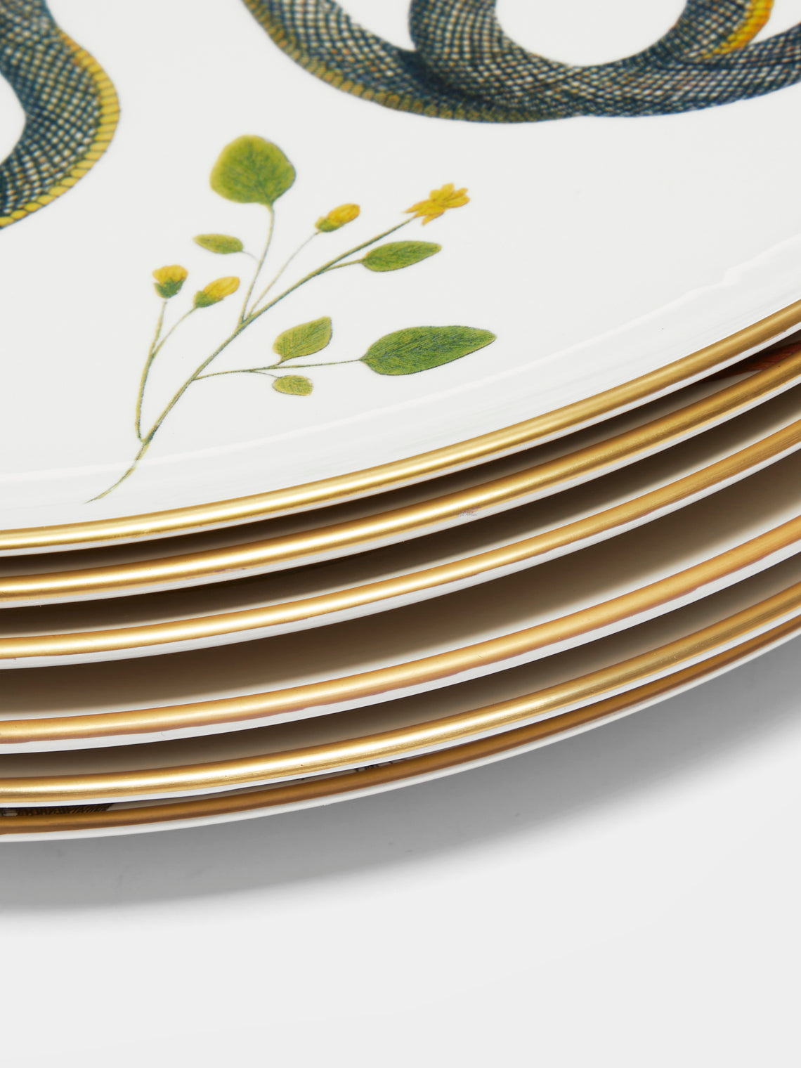 Laboratorio Paravicini - Serpi Ceramic Dinner Plates (Set of 6) -  - ABASK