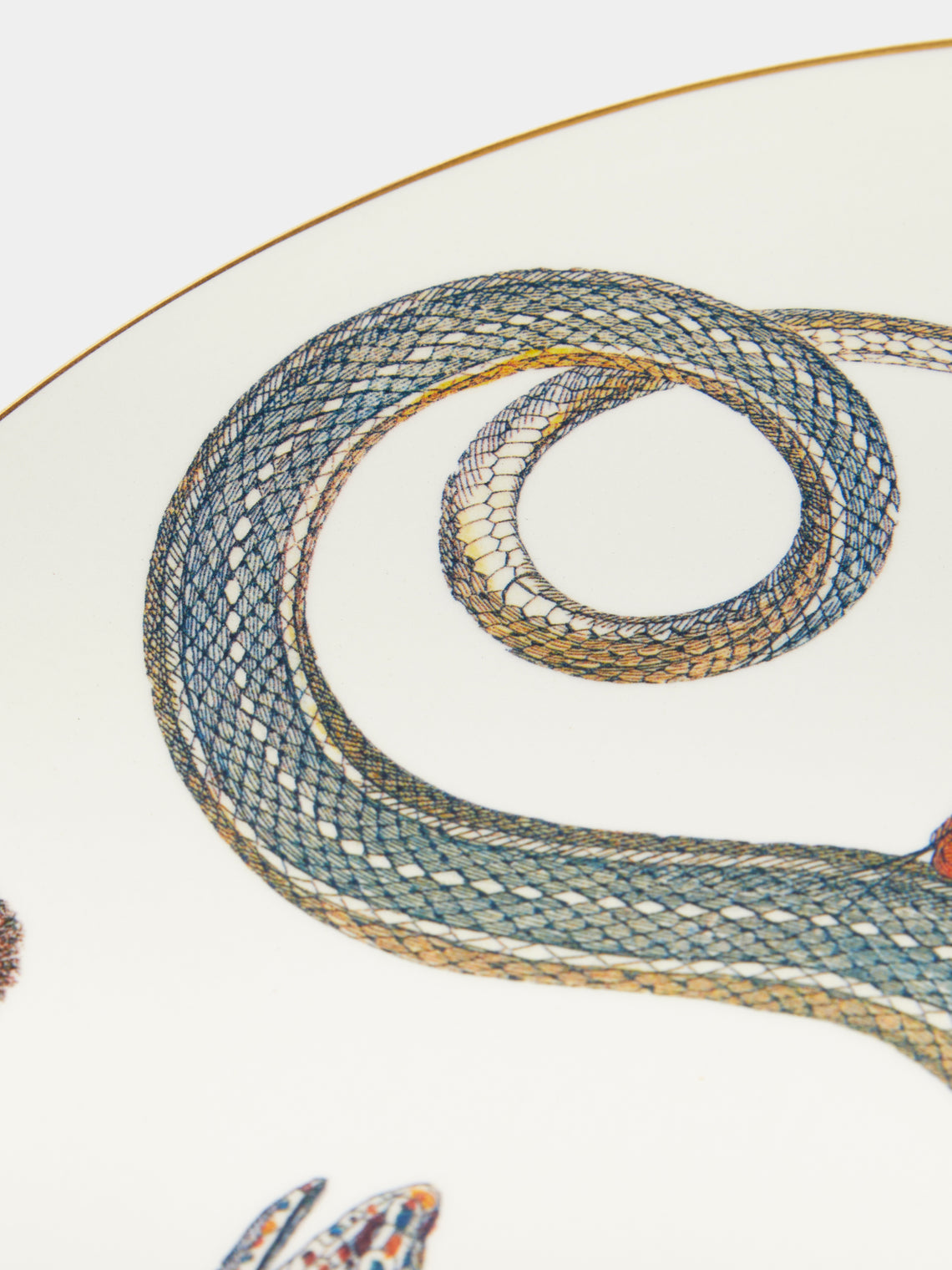 Laboratorio Paravicini - Serpi Ceramic Dinner Plates (Set of 6) -  - ABASK