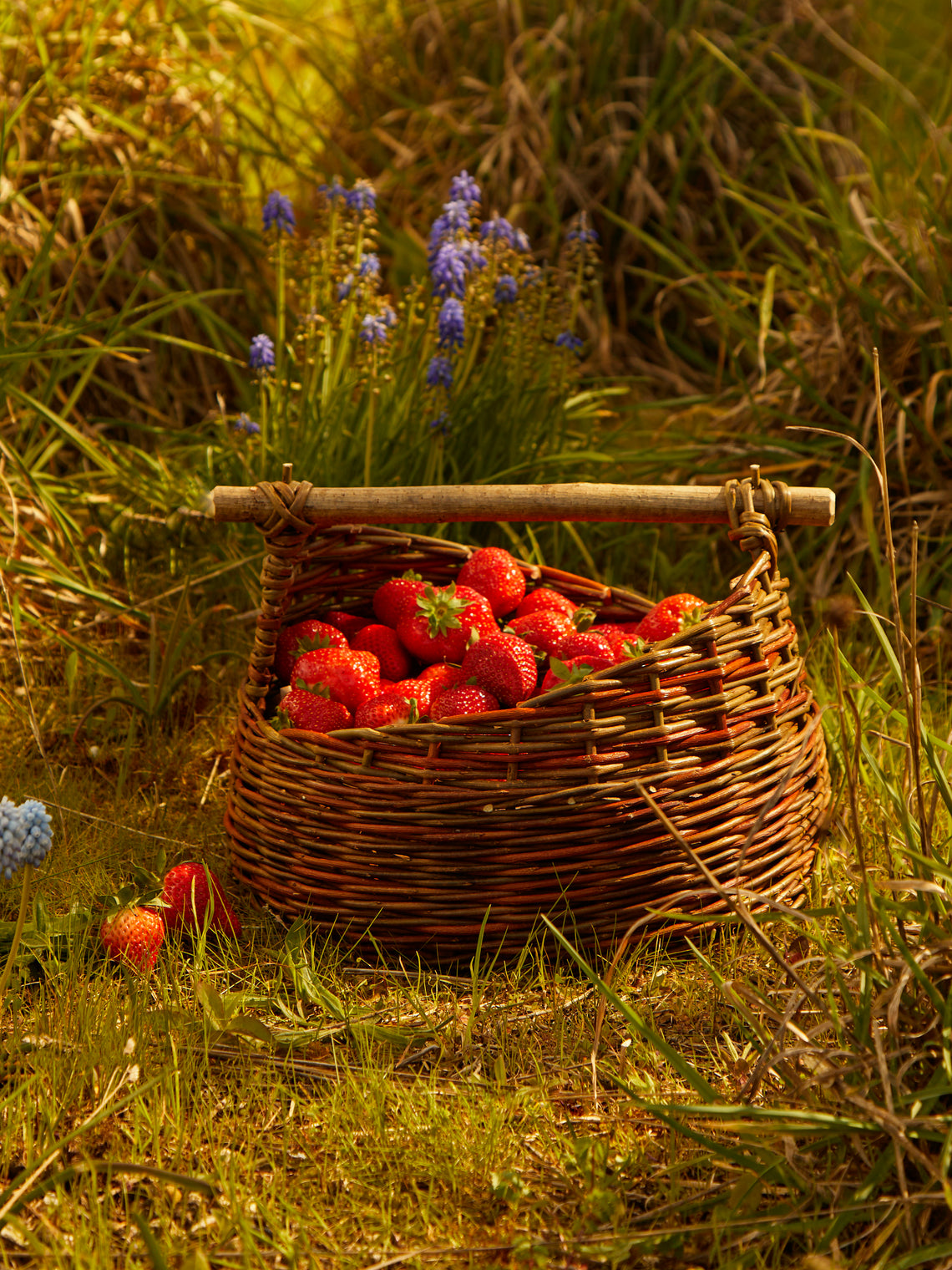 Hopewood Baskets - Handwoven Willow Small Gathering Basket -  - ABASK