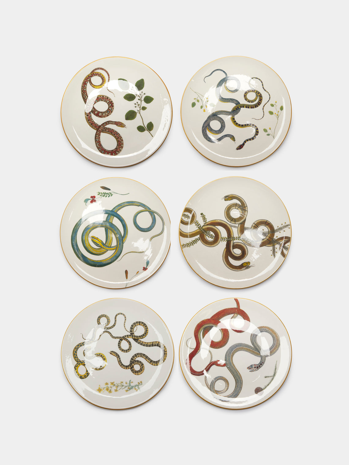 Laboratorio Paravicini - Serpi Ceramic Dinner Plates (Set of 6) -  - ABASK