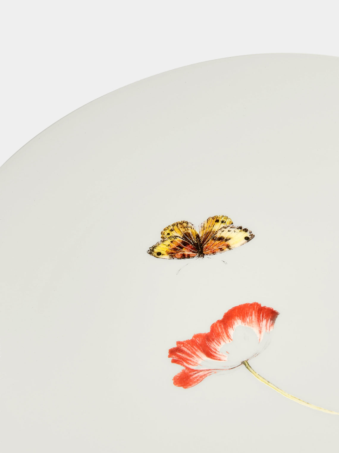 Laboratorio Paravicini - Bloom Ceramic Dinner Plates (Set of 6) -  - ABASK