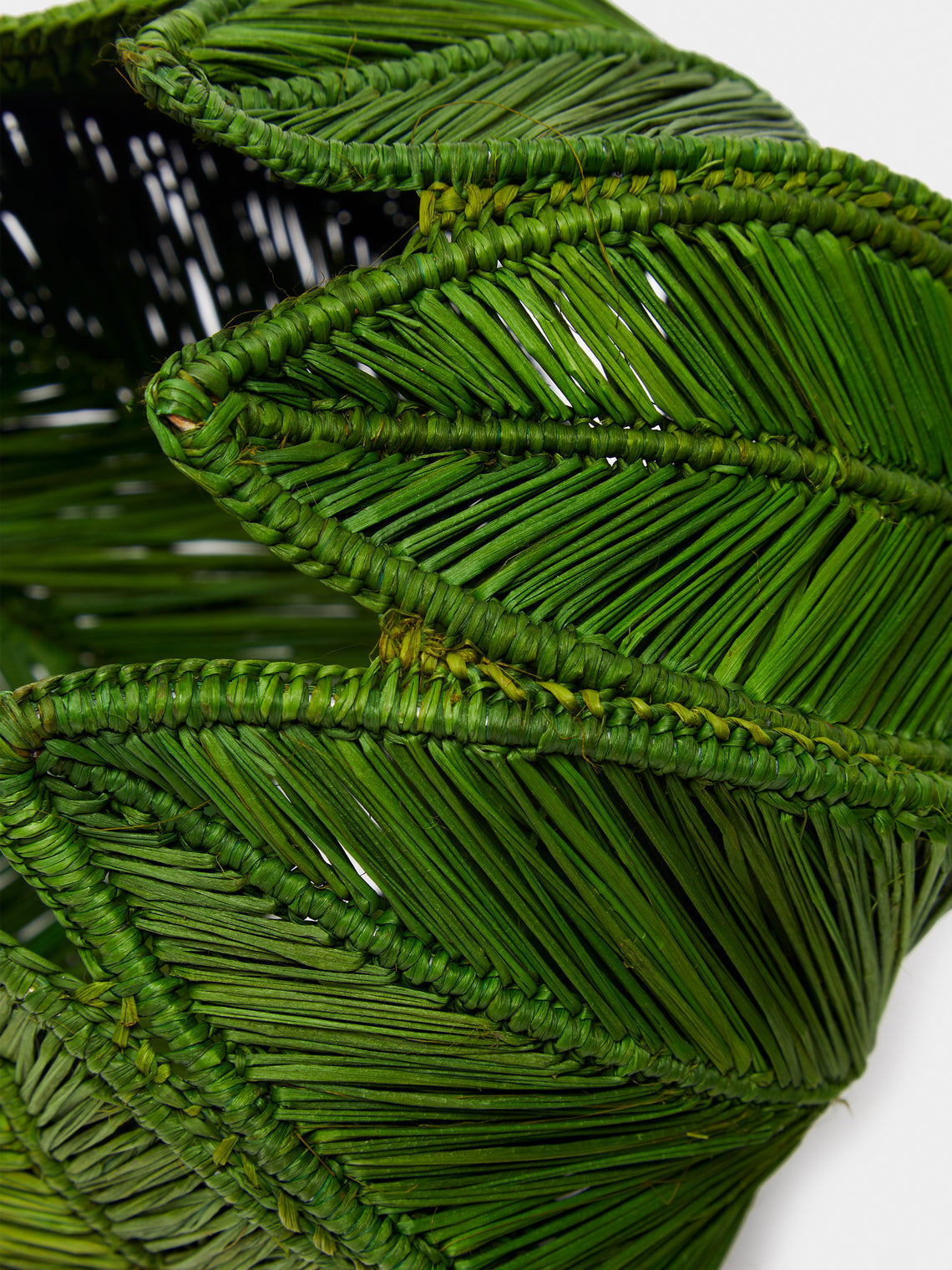 Artesanías del Atlántico - Handwoven Stromanthe Palm Vase -  - ABASK