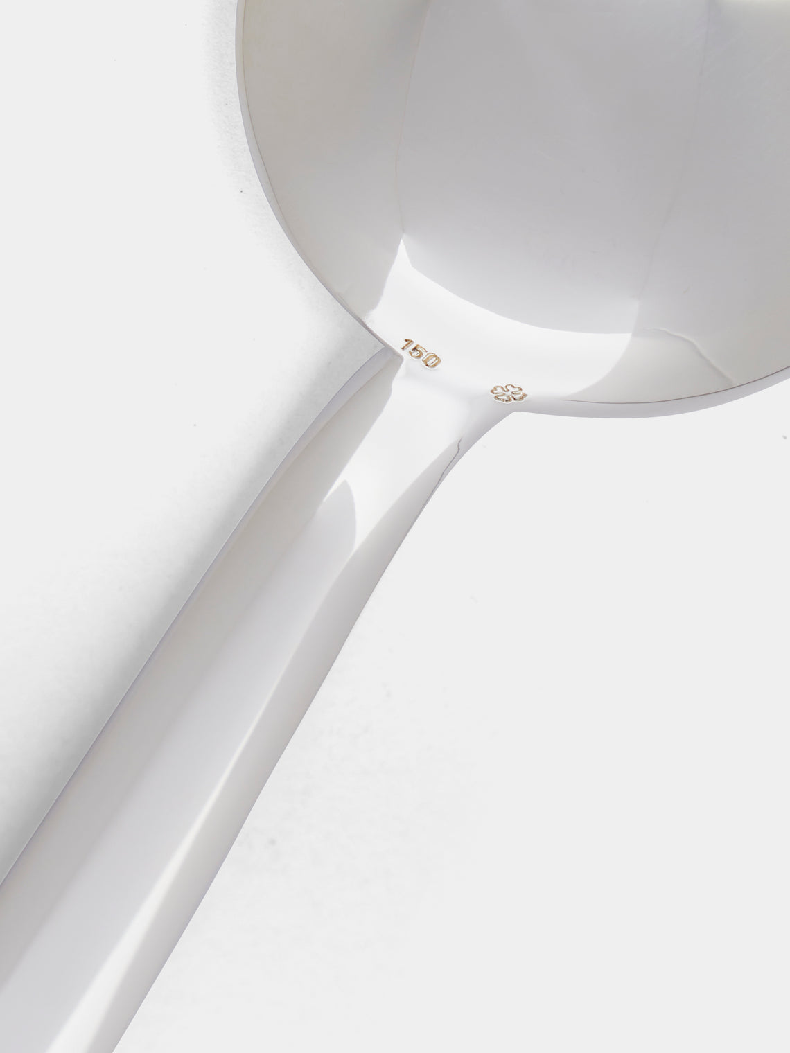 Gourmet Spoon