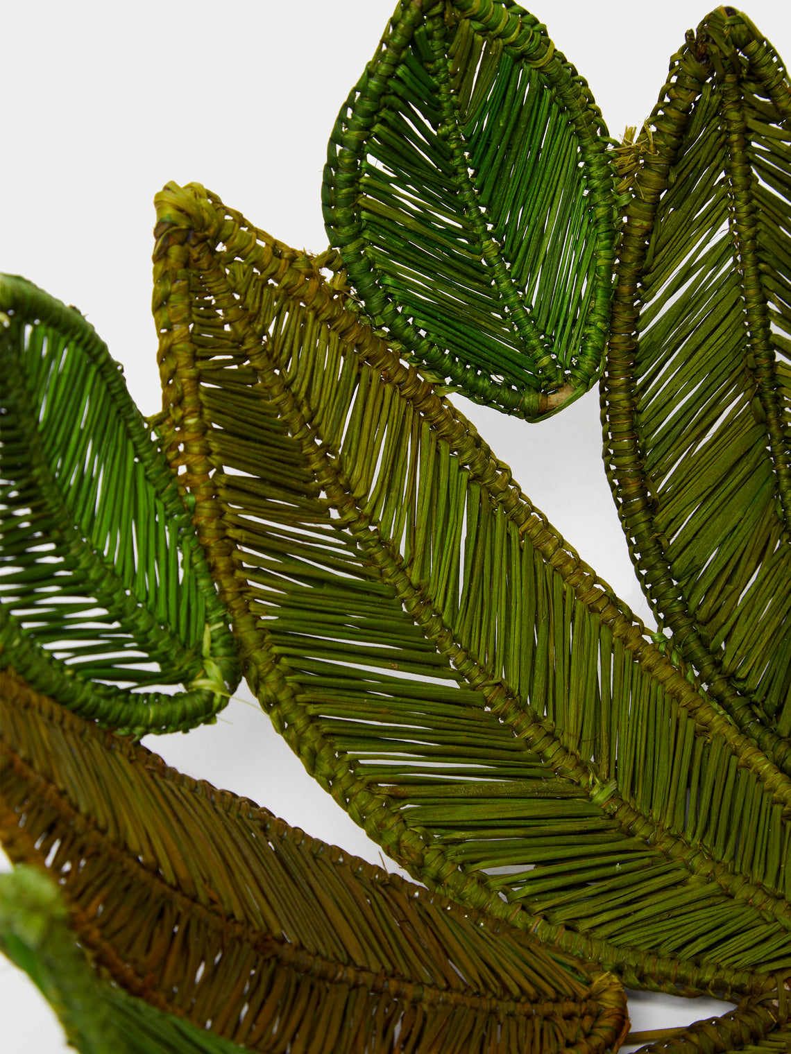 Artesanías del Atlántico - Handwoven Stromanthe Palm Large Centrepiece -  - ABASK