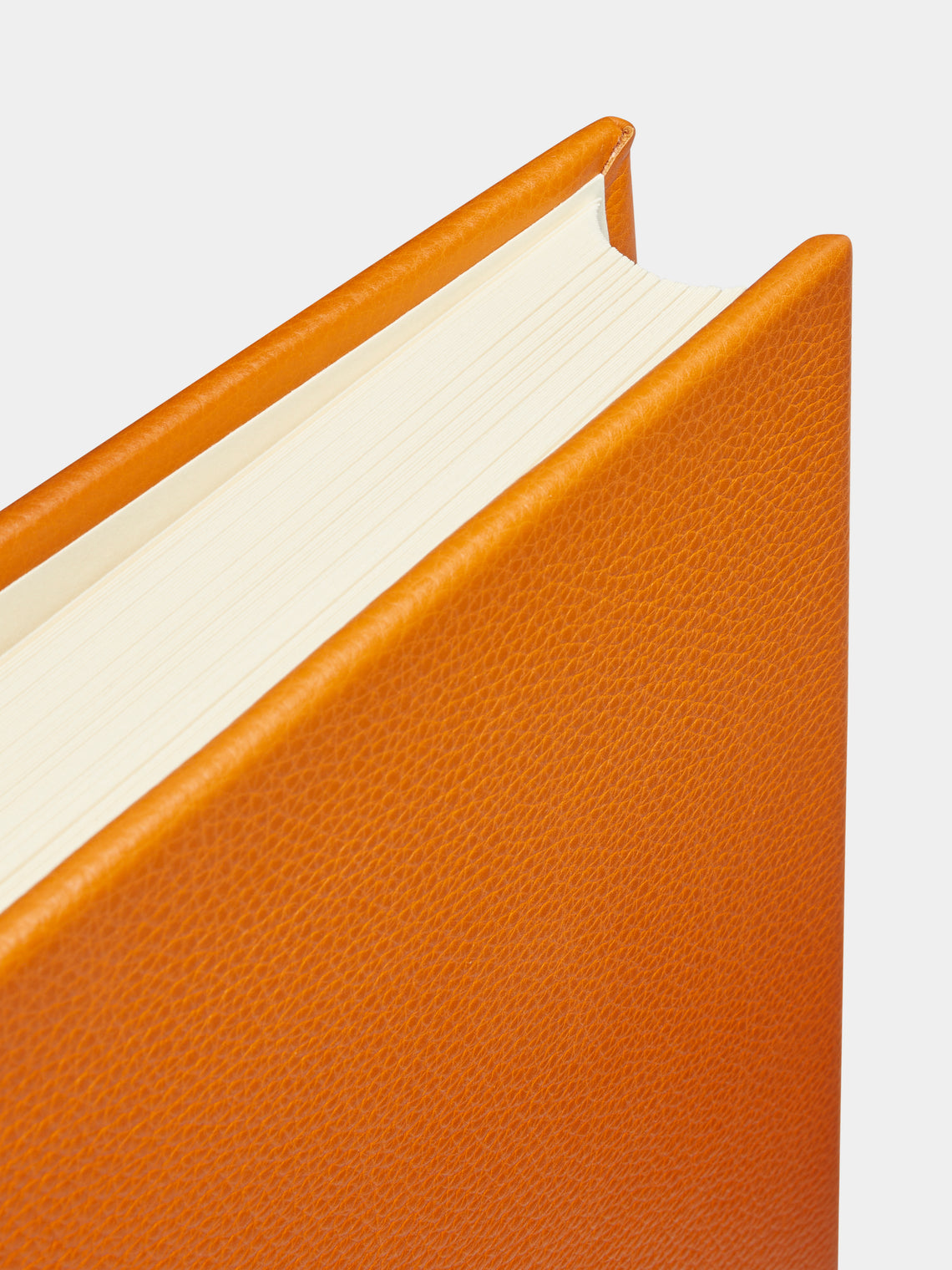 Noble Macmillan - Chelsea Leather Photo Album -  - ABASK